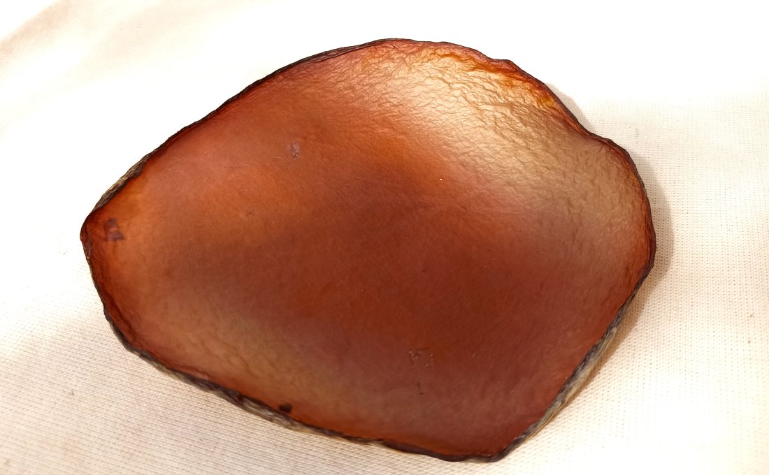 Cuir de kombucha - image 2
