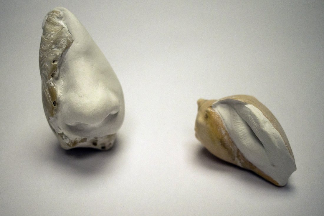 Moulages et coquillages - image 3